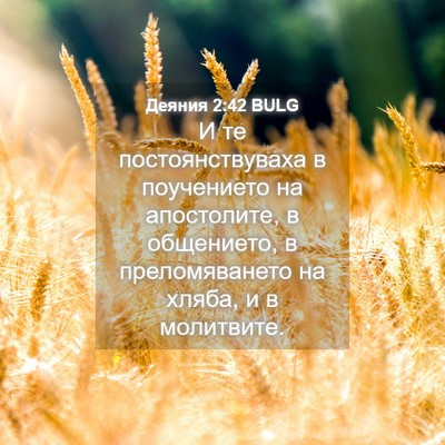 Picture 04 - Деяния 2:42 BULG - И те постоянствуваха в - Bible Verse Picture