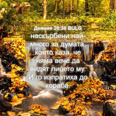 Picture 04 - Деяния 20:38 BULG - наскърбени най-много за - Bible Verse Picture