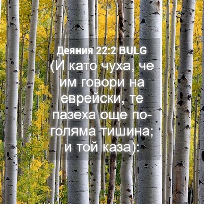 Picture 04 - Деяния 22:2 BULG - (И като чуха, че им говори - Bible Verse Picture