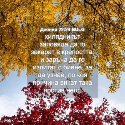 Picture 04 - Деяния 22:24 BULG - хилядникът заповяда да го - Bible Verse Picture