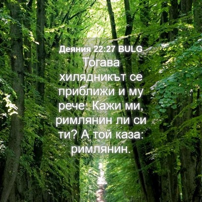 Picture 04 - Деяния 22:27 BULG - Тогава хилядникът се - Bible Verse Picture