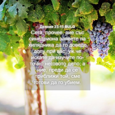 Picture 04 - Деяния 23:15 BULG - Сега, прочее, вие със - Bible Verse Picture