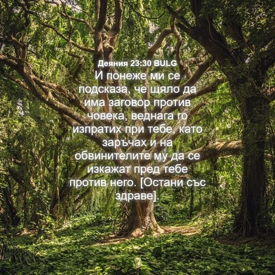 Picture 04 - Деяния 23:30 BULG - И понеже ми се подсказа, че - Bible Verse Picture