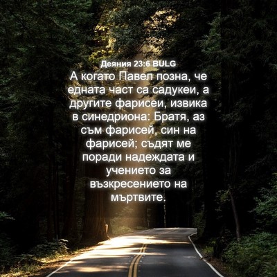Picture 04 - Деяния 23:6 BULG - А когато Павел позна, че - Bible Verse Picture