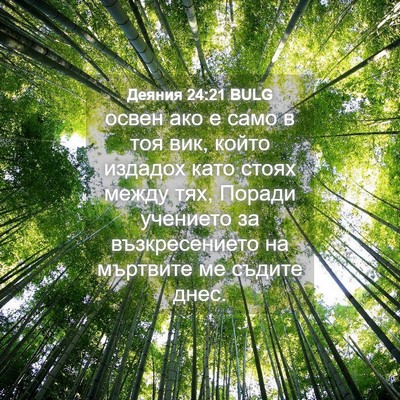 Picture 04 - Деяния 24:21 BULG - освен ако е само в тоя вик, - Bible Verse Picture