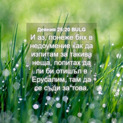 Picture 04 - Деяния 25:20 BULG - И аз, понеже бях в - Bible Verse Picture