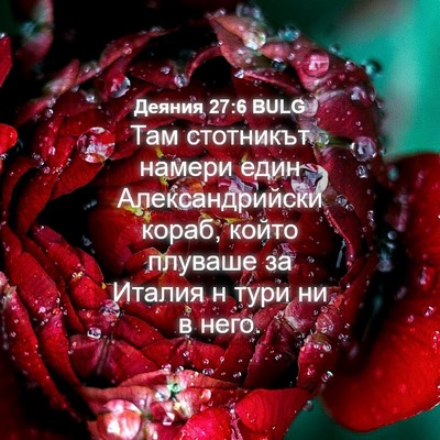 Picture 04 - Деяния 27:6 BULG - Там стотникът намери един - Bible Verse Picture