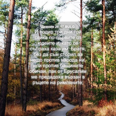 Picture 04 - Деяния 28:17 BULG - И подир три дни той свика - Bible Verse Picture