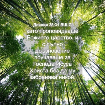 Picture 04 - Деяния 28:31 BULG - като проповядваше Божието - Bible Verse Picture