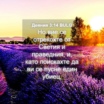 Picture 04 - Деяния 3:14 BULG - Но вие се отрекохте от - Bible Verse Picture