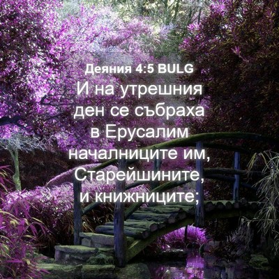 Picture 04 - Деяния 4:5 BULG - И на утрешния ден се - Bible Verse Picture