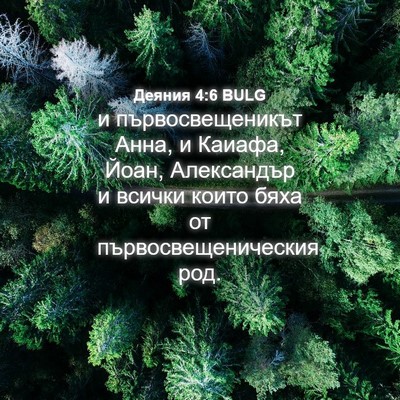 Picture 04 - Деяния 4:6 BULG - и първосвещеникът Анна, и - Bible Verse Picture