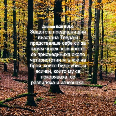 Picture 04 - Деяния 5:36 BULG - Защото в предишни дни - Bible Verse Picture