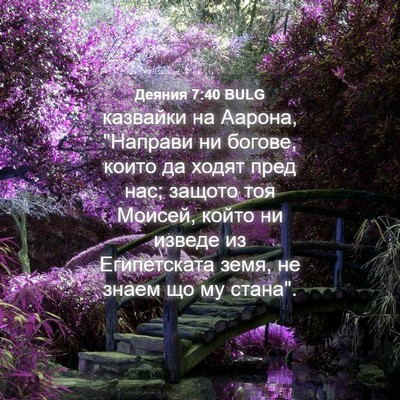 Picture 04 - Деяния 7:40 BULG - казвайки на Аарона, - Bible Verse Picture