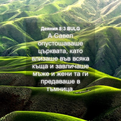 Picture 04 - Деяния 8:3 BULG - А Савел опустошаваше - Bible Verse Picture