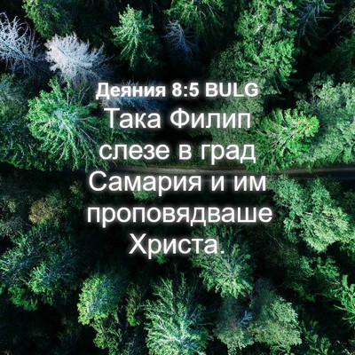 Picture 04 - Деяния 8:5 BULG - Така Филип слезе в град - Bible Verse Picture