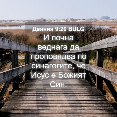 Picture 04 - Деяния 9:20 BULG - И почна веднага да - Bible Verse Picture