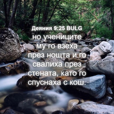 Picture 04 - Деяния 9:25 BULG - но учениците му го взеха - Bible Verse Picture