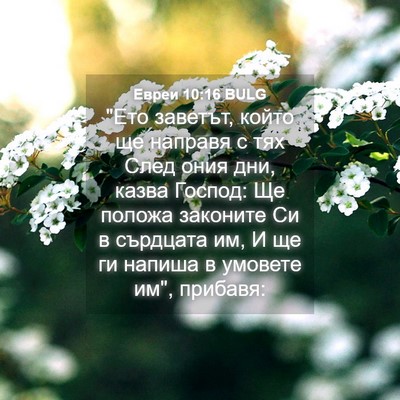 Picture 04 - Евреи 10:16 BULG - 