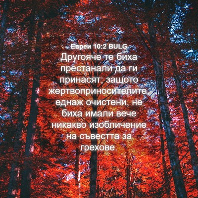 Picture 04 - Евреи 10:2 BULG - Другояче те биха - Bible Verse Picture