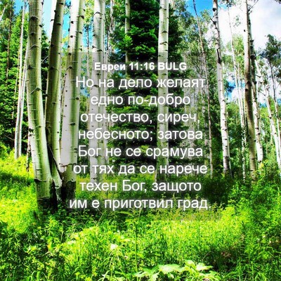 Picture 04 - Евреи 11:16 BULG - Но на дело желаят едно - Bible Verse Picture