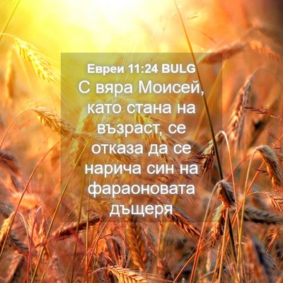 Picture 04 - Евреи 11:24 BULG - С вяра Моисей, като стана - Bible Verse Picture