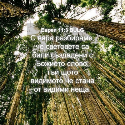 Picture 04 - Евреи 11:3 BULG - С вяра разбираме, че - Bible Verse Picture