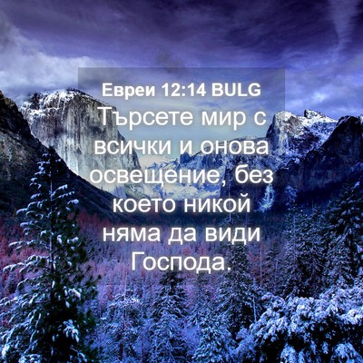 Picture 04 - Евреи 12:14 BULG - Търсете мир с всички и - Bible Verse Picture