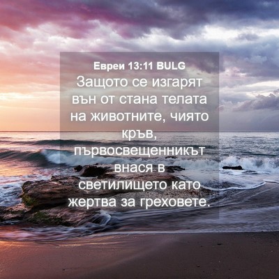 Picture 04 - Евреи 13:11 BULG - Защото се изгарят вън от - Bible Verse Picture