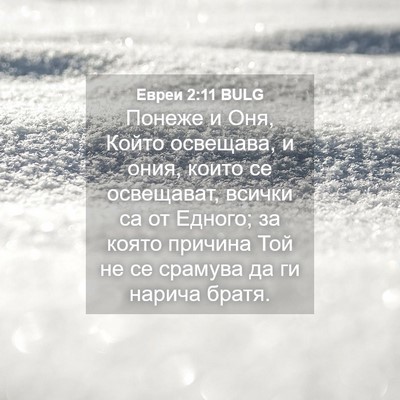 Picture 04 - Евреи 2:11 BULG - Понеже и Оня, Който - Bible Verse Picture