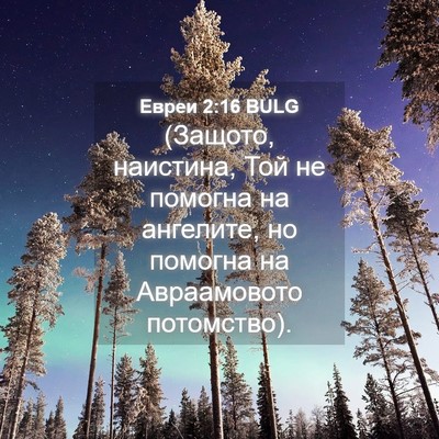 Picture 04 - Евреи 2:16 BULG - (Защото, наистина, Той не - Bible Verse Picture