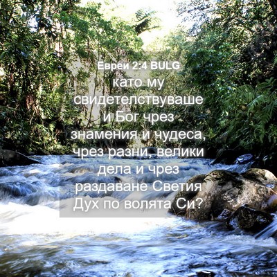 Picture 04 - Евреи 2:4 BULG - като му свидетелствуваше и - Bible Verse Picture