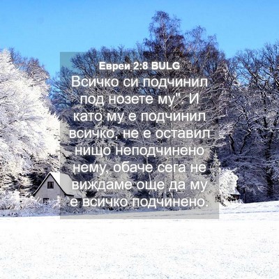 Picture 04 - Евреи 2:8 BULG - Всичко си подчинил под - Bible Verse Picture