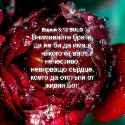 Picture 04 - Евреи 3:12 BULG - Внимавайте братя, да не би - Bible Verse Picture