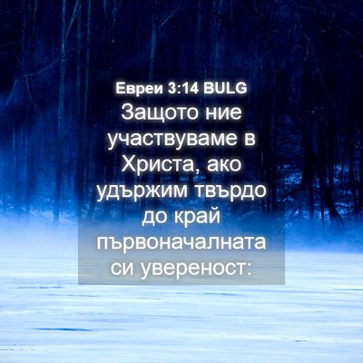 Picture 04 - Евреи 3:14 BULG - Защото ние участвуваме в - Bible Verse Picture