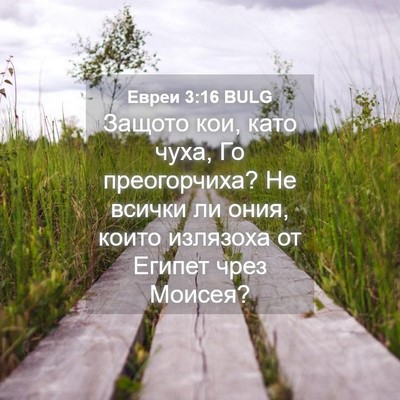 Picture 04 - Евреи 3:16 BULG - Защото кои, като чуха, Го - Bible Verse Picture