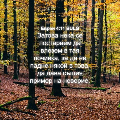 Picture 04 - Евреи 4:11 BULG - Затова нека се постараем - Bible Verse Picture