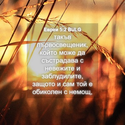 Picture 04 - Евреи 5:2 BULG - такъв първосвещеник, който - Bible Verse Picture