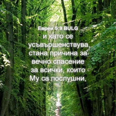 Picture 04 - Евреи 5:9 BULG - и като се усъвършенствува, - Bible Verse Picture