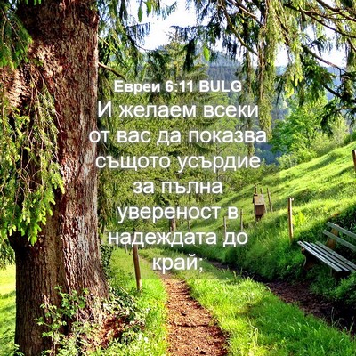 Picture 04 - Евреи 6:11 BULG - И желаем всеки от вас да - Bible Verse Picture