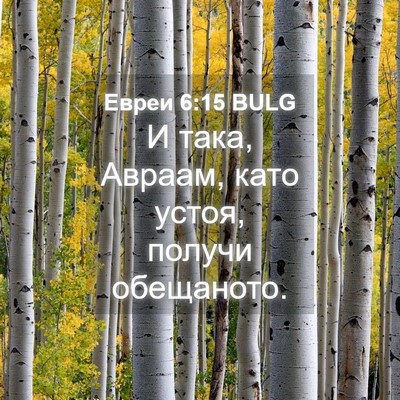Picture 04 - Евреи 6:15 BULG - И така, Авраам, като устоя, - Bible Verse Picture