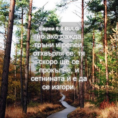 Picture 04 - Евреи 6:8 BULG - но ако ражда тръни и репеи, - Bible Verse Picture