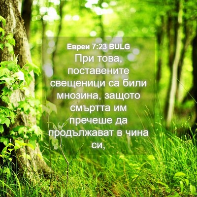 Picture 04 - Евреи 7:23 BULG - При това, поставените - Bible Verse Picture