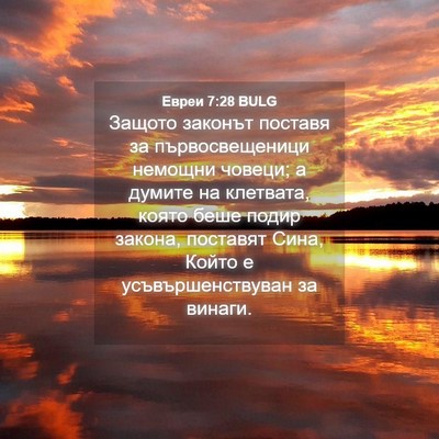 Picture 04 - Евреи 7:28 BULG - Защото законът поставя за - Bible Verse Picture