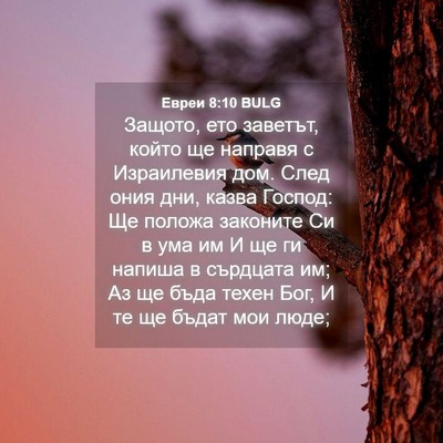 Picture 04 - Евреи 8:10 BULG - Защото, ето заветът, който - Bible Verse Picture