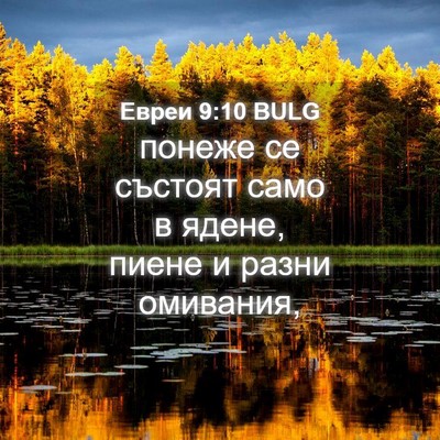 Picture 04 - Евреи 9:10 BULG - понеже се състоят само в - Bible Verse Picture