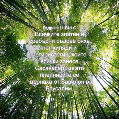 Picture 04 - Ездра 1:11 BULG - Всичките златни и сребърни - Bible Verse Picture