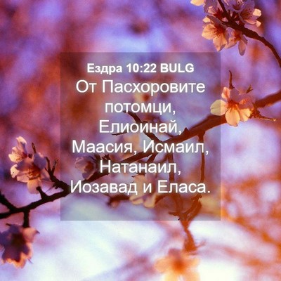 Picture 04 - Ездра 10:22 BULG - От Пасхоровите потомци, - Bible Verse Picture