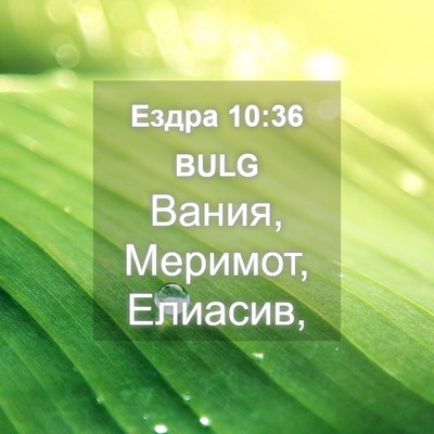 Picture 04 - Ездра 10:36 BULG - Вания, Меримот, - Bible Verse Picture