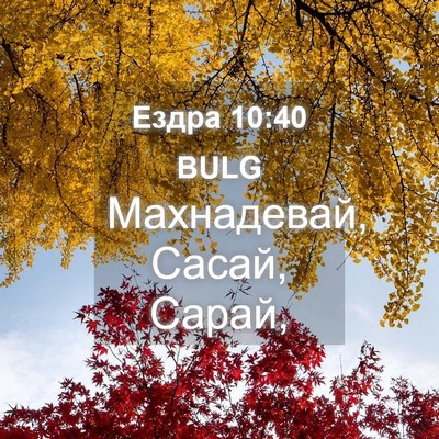 Picture 04 - Ездра 10:40 BULG - Махнадевай, Сасай, - Bible Verse Picture
